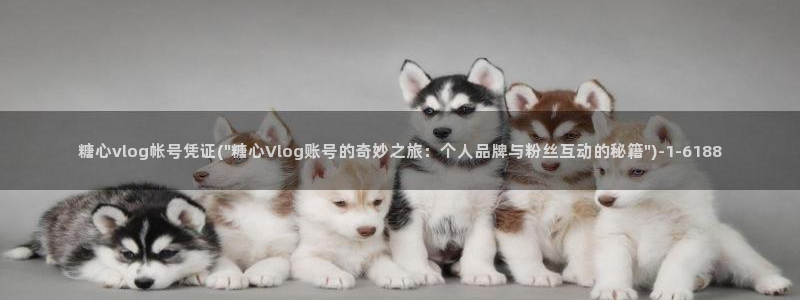 糖心视频首页vlog：糖心vlog帐号凭证(\