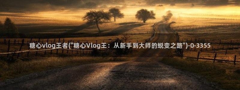 糖心VLOG