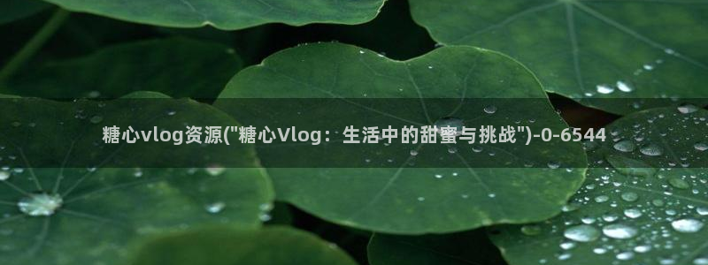 糖心vlog系列产品