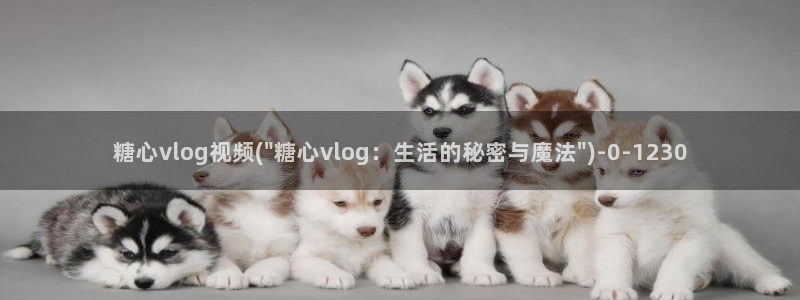 糖心vlog剧情在线