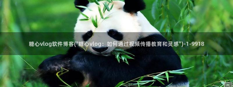 糖心vlog可以约吗