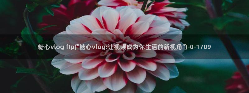 糖心vlog按摩：糖心vlog ftp(\