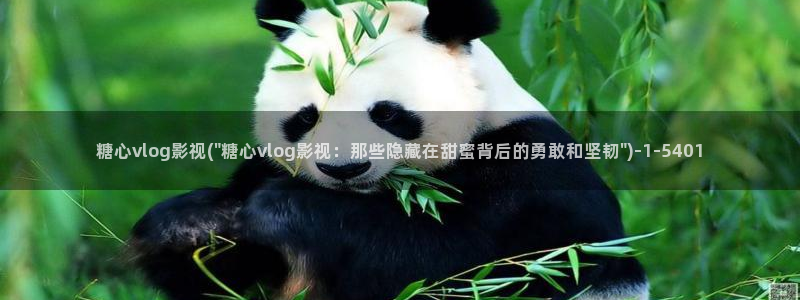 糖心vlog免：糖心vlog影视(\