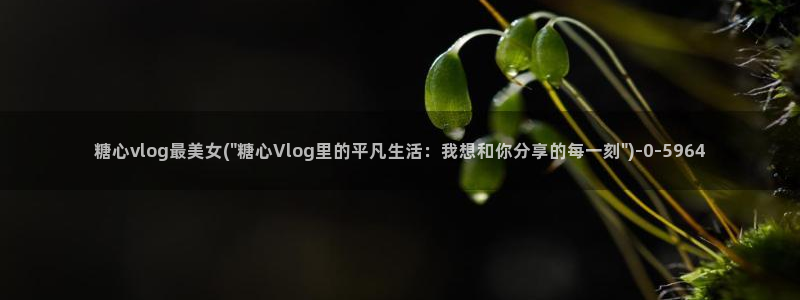 糖心vlog晚晚：糖心vlog最美女(\