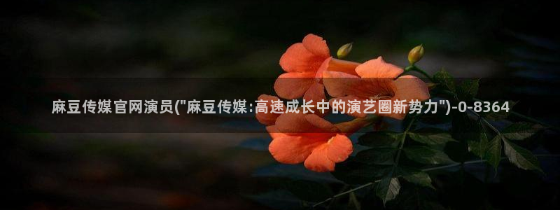 麻豆传媒官网装l：麻豆传媒官网演员(\