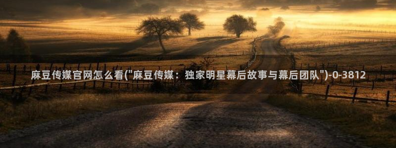 麻豆传媒官网演员：麻豆传媒官网怎么看(\