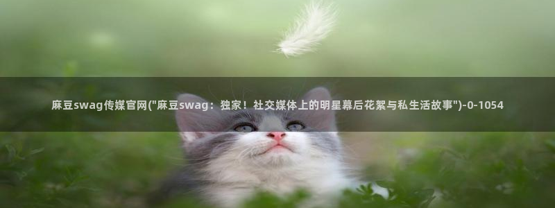 麻豆视传媒 官网入口：麻豆swag传媒官网(\