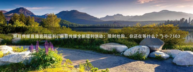 麻豆传媒官网映画：麻豆传媒直播官网福利(\