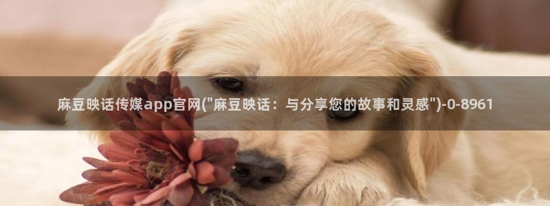 麻豆视传媒短网站官网：麻豆映话传媒app官网(\