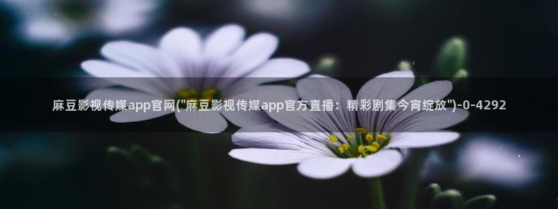 model麻豆传媒官网