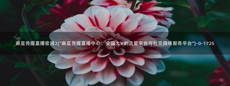 求麻豆传媒得官网：麻豆传媒直播官网2(\