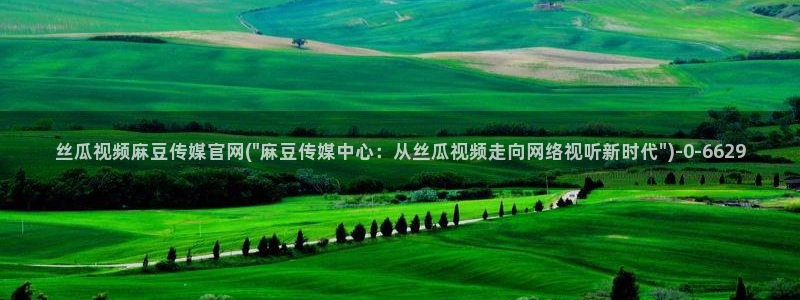 91麻豆传媒app官网