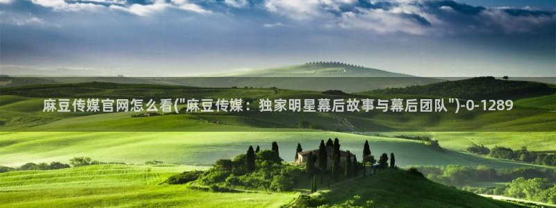 麻豆传媒官网综合：麻豆传媒官网怎么看(\