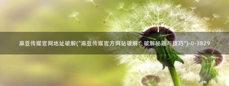 麻豆传媒直播官网在线