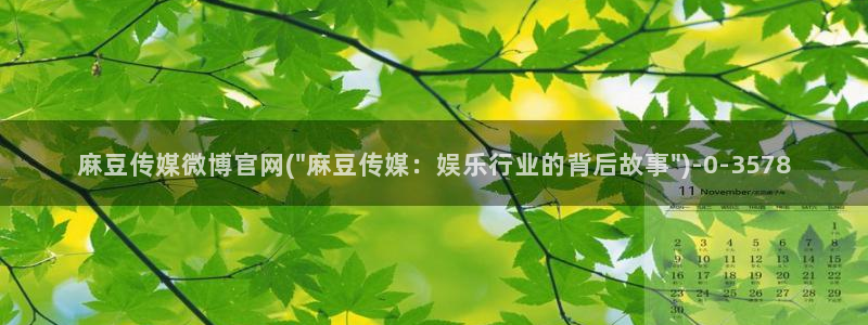 麻豆自制传媒官网：麻豆传媒微博官网(\